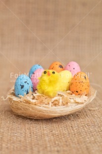 Fair Trade Photo Adjective, Animals, Chick, Colour, Easter, Egg, Food and alimentation, Nest, New baby, Object, Vertical