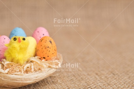 Fair Trade Photo Adjective, Animals, Chick, Colour, Easter, Egg, Food and alimentation, Horizontal, Nest, New baby, Object
