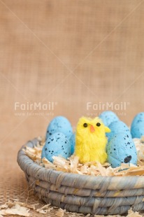 Fair Trade Photo Adjective, Animals, Chick, Easter, Egg, Food and alimentation, Male, Nest, New baby, Object, People, Vertical