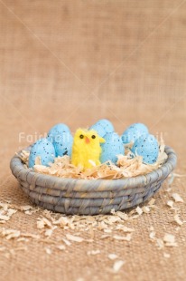 Fair Trade Photo Adjective, Animals, Chick, Easter, Egg, Food and alimentation, Male, Nest, New baby, Object, People, Vertical