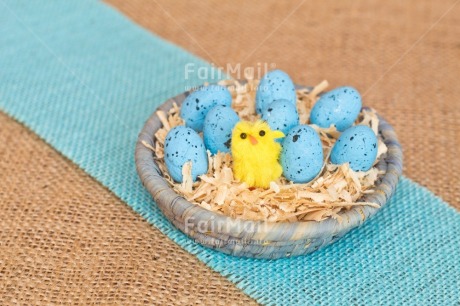 Fair Trade Photo Adjective, Animals, Chick, Easter, Egg, Food and alimentation, Horizontal, Male, Nest, New baby, Object, People