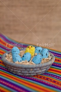 Fair Trade Photo Adjective, Animals, Chick, Easter, Egg, Food and alimentation, Nest, New baby, Object, Peruvian textile, Vertical