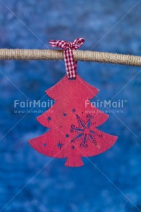 Fair Trade Photo Activity, Adjective, Blue, Branch, Celebrating, Christmas, Christmas decoration, Christmas tree, Colour, Nature, Object, Present, Red, Vertical
