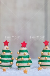 Fair Trade Photo Activity, Adjective, Celebrating, Christmas, Christmas decoration, Christmas tree, Colour, Object, Present, Red, Snow, Star, Vertical