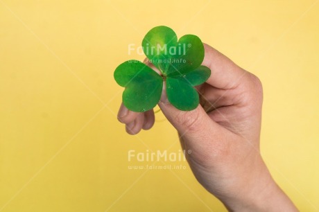 Fair Trade Photo Body, Clover, Colour, Congratulations, Emotions, Flower, Goal, Good luck, Green, Hand, Nature, Success, Yellow