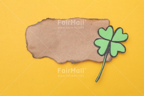 Fair Trade Photo Clover, Colour, Congratulations, Emotions, Flower, Goal, Good luck, Green, Nature, Success, Yellow