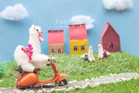 Fair Trade Photo Activity, Animals, Birthday, Congratulations, Fathers day, Felicidad sencilla, Holiday, Llama, Mothers day, Motorcycle, New beginning, New home, Object, Peru, Road, Transport, Travel, Travelling