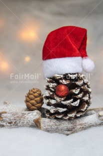 Fair Trade Photo Christmas, Christmas decoration, Christmas hat, Colour, Object, People, Pine cone, Red, Santaclaus, Snow, White