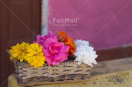 Fair Trade Photo Basket, Closeup, Colour image, Colourful, Flower, Mothers day, Peru, South America, Thank you
