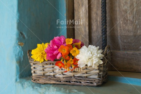 Fair Trade Photo Basket, Closeup, Colour image, Colourful, Flower, Mothers day, Peru, South America, Thank you