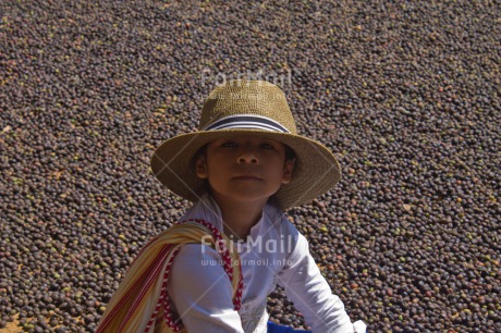 Fair Trade Photo 5 -10 years, Activity, Agriculture, Coffee, Colour image, Farmer, Food and alimentation, Harvest, Hat, Latin, Looking at camera, One girl, People, Peru, Rural, Sombrero, South America
