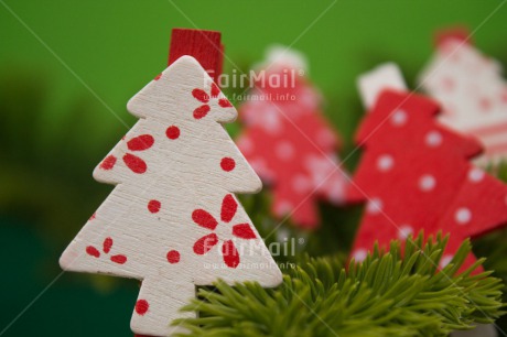 Fair Trade Photo Christmas, Closeup, Colour image, Green, Peru, Red, South America, Tree, White