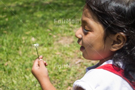 Fair Trade Photo 0-5 years, Activity, Care, Cute, Day, Flower, Grass, Horizontal, Latin, Looking away, One girl, Outdoor, People, Peru, Portrait headshot, South America