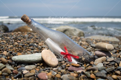 Fair Trade Photo Bottle, Closeup, Friendship, Horizontal, Love, Peru, Sea, Shell, South America, Stone