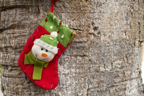 Fair Trade Photo Christmas, Colour image, Horizontal, Peru, Snowman, Sock, South America, Tree