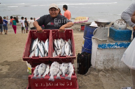 Fair Trade Photo Animals, Colour image, Entrepreneurship, Fish, Fisheries, Food and alimentation, Horizontal, Market, Peru, Selling, South America
