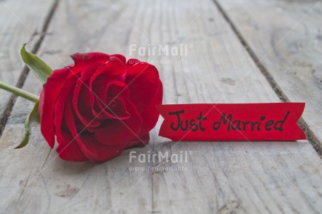 Fair Trade Photo Colour image, Flower, Horizontal, Letter, Marriage, Peru, Red, Rose, South America, Wedding