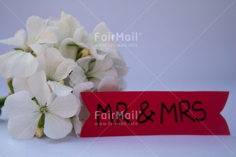 Fair Trade Photo Colour image, Flower, Horizontal, Letter, Marriage, Peru, South America, Wedding