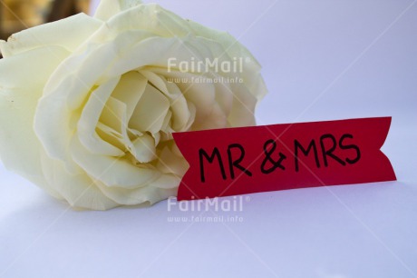 Fair Trade Photo Colour image, Flower, Horizontal, Letter, Marriage, Peru, Rose, South America, Wedding