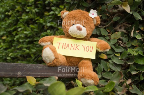 Fair Trade Photo Colour image, Horizontal, Peru, South America, Teddybear, Thank you