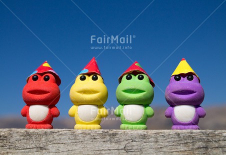 Fair Trade Photo Birthday, Colour image, Frog, Horizontal, Invitation, Party, Peru, South America, Together