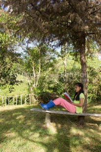 Fair Trade Photo Activity, Colour image, Exams, Garden, Green, One girl, People, Peru, Reading, Relaxing, South America, Summer, Vertical