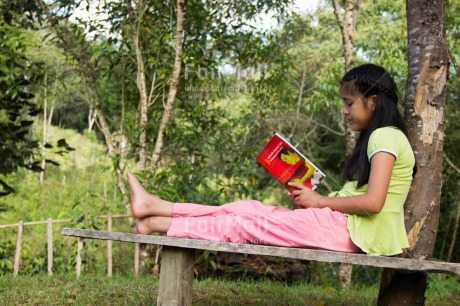 Fair Trade Photo Activity, Colour image, Exams, Garden, Green, Horizontal, One girl, People, Peru, Reading, Relaxing, South America, Summer