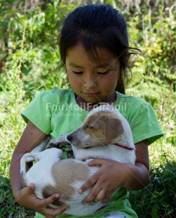 Fair Trade Photo Animals, Caring, Colour image, Cute, Day, Dog, Friendship, Love, One girl, Outdoor, People, Peru, Puppy, South America, Together, Vertical