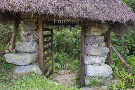 Fair Trade Photo Colour image, Door, Forest, Good trip, Horizontal, Peru, Road, South America, Travel