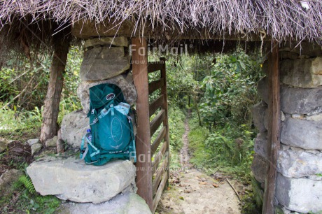 Fair Trade Photo Backpack, Colour image, Forest, Horizontal, Peru, South America, Travel