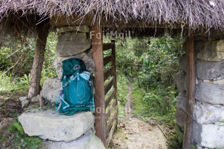 Fair Trade Photo Backpack, Colour image, Forest, Horizontal, Peru, South America, Travel