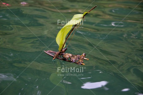 Fair Trade Photo Boat, Colour image, Good trip, Horizontal, Peru, River, South America, Transport, Travel, Water