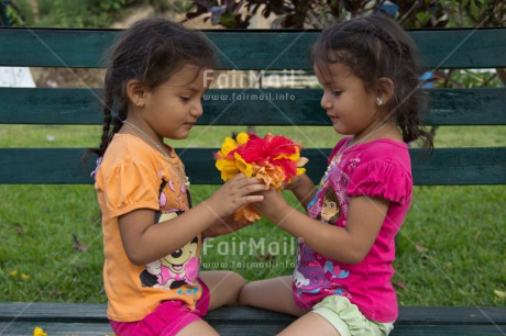 Fair Trade Photo Activity, Colour image, Cooperation, Cute, Day, Flower, Friendship, Garden, Horizontal, Latin, Outdoor, People, Peru, Playing, South America, Summer, Together, Two girls