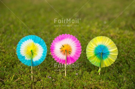 Fair Trade Photo Birthday, Colour image, Colourful, Exams, Grass, Horizontal, Invitation, Party, Peru, South America, Summer