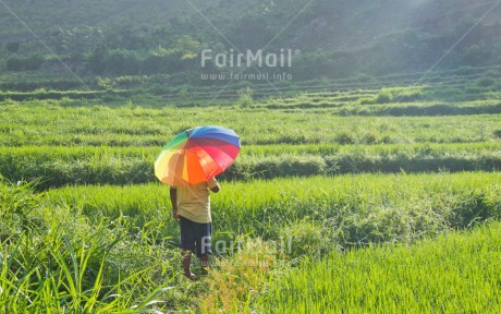 Fair Trade Photo Colour image, Confirmation, Horizontal, One child, Outdoor, Peru, Rural, South America, Travel, Umbrella