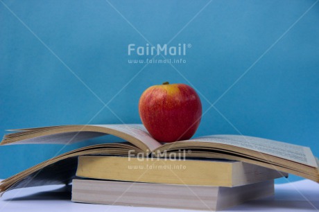 Fair Trade Photo Colour image, Exams, Graduation, Horizontal