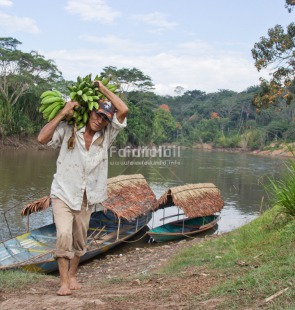 Fair Trade Photo Activity, Banana, Boat, Carrying, Colour image, Day, Fair trade, Food and alimentation, Fruits, Horizontal, One man, Outdoor, People, Peru, South America, Transport