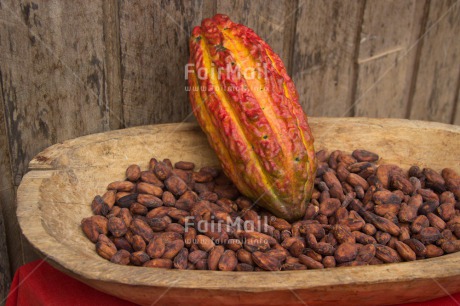 Fair Trade Photo Agriculture, Cacao, Chocolate, Colour image, Fair trade, Food and alimentation, Horizontal, Peru, South America