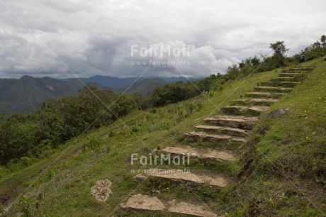 Fair Trade Photo Colour image, Forest, Green, Horizontal, Mountain, Peru, Road, Scenic, South America, Travel