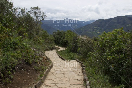 Fair Trade Photo Colour image, Forest, Green, Horizontal, Mountain, Peru, Road, Scenic, South America, Travel