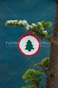 Fair Trade Photo Christmas, Christmas ball, Closeup, Colour image, Peru, Shooting style, South America, Star, Tree, Vertical