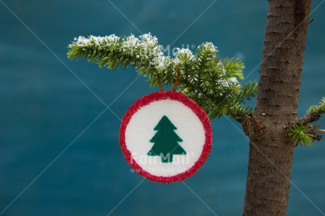 Fair Trade Photo Christmas, Christmas ball, Closeup, Colour image, Horizontal, Peru, Shooting style, South America, Star, Tree