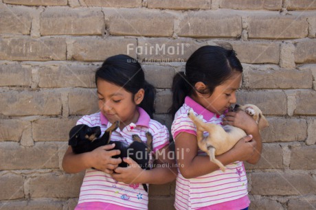 Fair Trade Photo Activity, Animals, Caring, Carrying, Colour image, Cute, Dog, Horizontal, Hugging, Love, People, Peru, Puppy, South America, Twin, Two girls