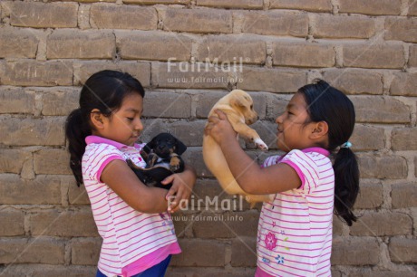 Fair Trade Photo Activity, Animals, Caring, Carrying, Colour image, Cute, Dog, Horizontal, Hugging, Love, People, Peru, Puppy, South America, Twin, Two girls