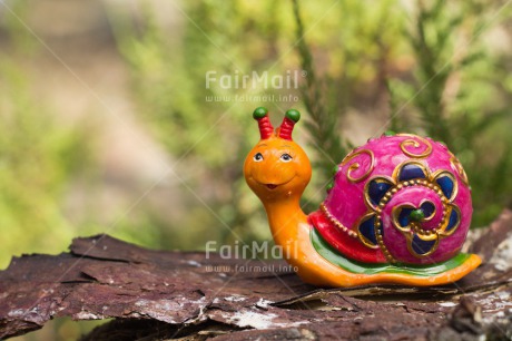 Fair Trade Photo Animals, Colour image, Funny, Horizontal, Peru, Smile, Snail, South America