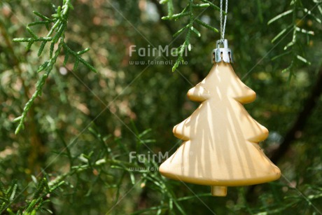 Fair Trade Photo Christmas, Colour image, Gold, Green, Horizontal, Peru, South America, Tree