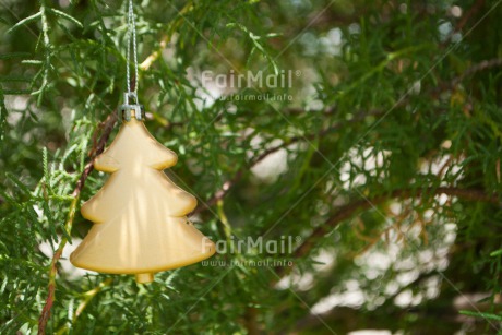 Fair Trade Photo Christmas, Colour image, Gold, Green, Horizontal, Peru, South America, Tree