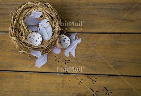 Fair Trade Photo Birth, Colour image, Easter, Egg, Horizontal, New baby