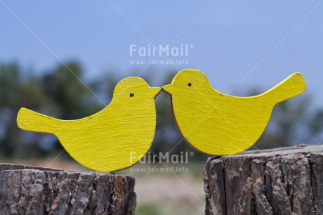 Fair Trade Photo Animals, Bird, Colour image, Friendship, Horizontal, Love, Marriage, Outdoor, Peru, South America, Summer, Together, Wedding, Yellow