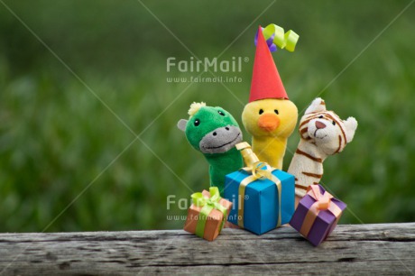 Fair Trade Photo Animals, Birthday, Colour image, Funny, Gift, Horizontal, Party, Peru, South America